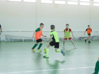 IMG_4546